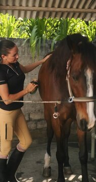 Young woman on a ranch in sports gear combing a horse coat with a special brush. Care and maintenance of a domestic horse. Preparation for horseback riding. Veterinary medicine and grooming.