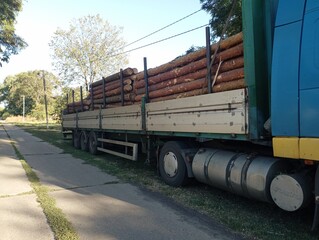 A large blue truck loaded with firewood stands outside in the open air. The topic of freight...