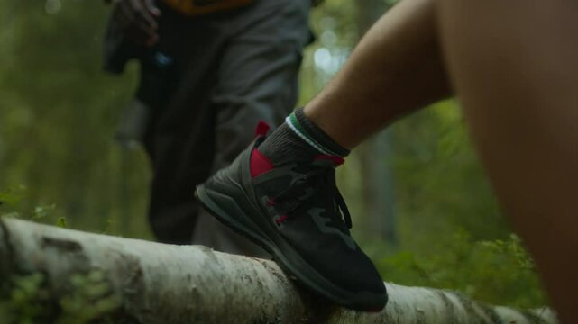 Low section of group of hikers stepping over log on ground while walking along trail in lush green forest during summer adventure