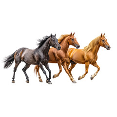 Naklejka premium Three Horses Running Isolated on a Transparent Background
