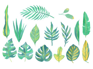 Watercolor Green Tropical Leaves Set on a white background.