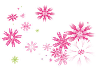 Fleurs roses et blanches sur fond transparent