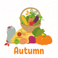 An autumn postcard with a harvest of vegetables.