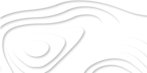 Vector white art papercut design Topographic geometric map relief texture with curved layers. Abstract luxury white modern 3d papercut, topography map circle and wave line smooth.