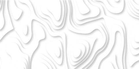 Vector white art papercut design Topographic geometric map relief texture with curved layers. Abstract luxury white modern 3d papercut, topography map circle and wave line smooth.