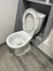 toilet bowl in a bathroom