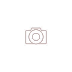 Camera simple icon isolated on transparent background