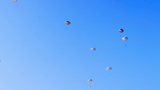 Military paratroopers are seen floating gently under parachutes against a vibrant blue sky. The shot captures the calm descent of soldiers during a coordinated air drop at Ginkelse Heide, Netherlands