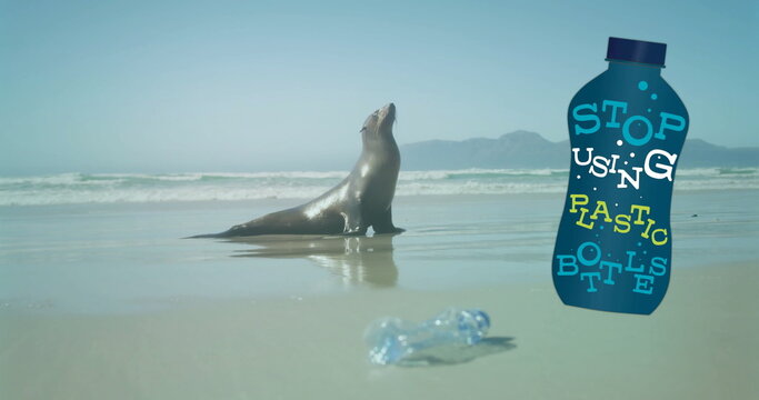 Image of stop using plastic bottles text on bottle over seal and plastic bottle on beach - Powered by Adobe