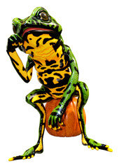 3D Rendering Oriental Fire Bellied Toad Frog on White