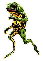 3D Rendering Oriental Fire Bellied Toad Frog on White