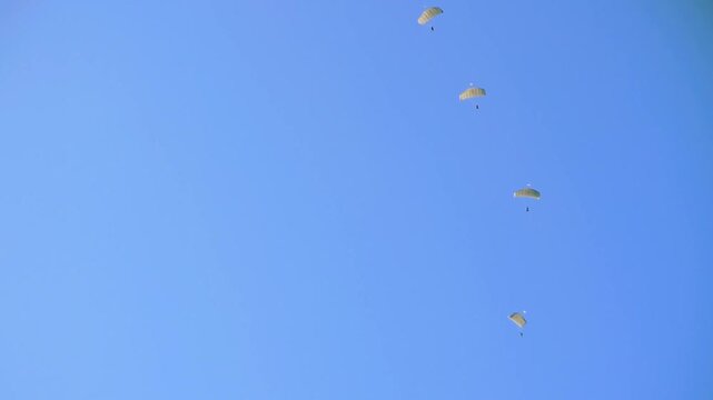 military paratroopers descends in vertical, single-file formation under open parachutes against cloudless blue sky. Precision and timing seen in their descent. Location: Ede, Gelderland, Nederland