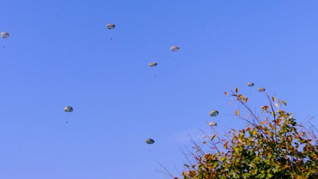 Group of paratroopers descends under round parachutes against a clear blue sky. The shot captures the moment of descent during a large-scale military exercise at Ginkelse Heide, Netherlands