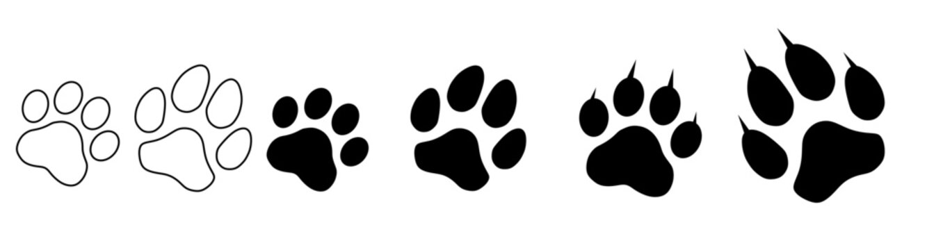 cat and dog paw prints..