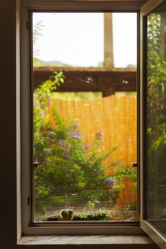 Old mosquito net with holes on the window