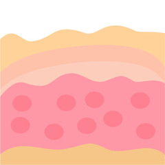 Illustration of human skin