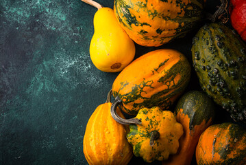 Various decorative pumpkin on green background