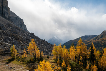 Mount Temple viewed on a fall day from Deception Pass near Hidden Lake Halfway Hut, Alberta, Canada. 