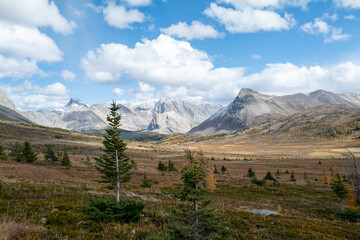 Photos of golden larches on Skoki Loop hike around Skoki Lodge. Includes views of the trail, mountains and lakes around the trail. Skoki Lodge is near Lake Louise, Alberta, Canada.