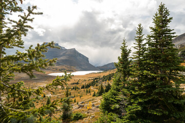 Photos of golden larches on Skoki Loop hike around Skoki Lodge. Includes views of the trail, mountains and lakes around the trail. Skoki Lodge is near Lake Louise, Alberta, Canada.