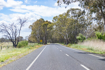 Fototapeta premium Scenic Highway Surrounded by Lush Greenery and Trees in Australia
