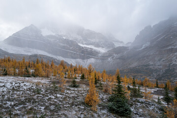 Skoki route looking at the Wall of Jericho mountain on a chill Autumn day.