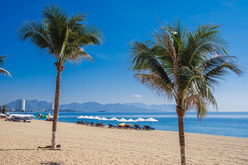 Obraz premium Beach umbrellas with sun beds on a sandy beach with palm trees by sea at a tropical resort in summer day in Asia