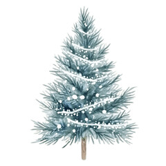 Obraz premium christmas tree isolated