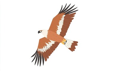 Fototapeta premium A majestic bird of prey soaring gracefully through a bright blue sky, embodying freedom and nature's beauty in a tranquil landscape