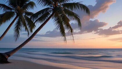 Softly Swaying Palm Trees on a Quiet Beach at Twilight