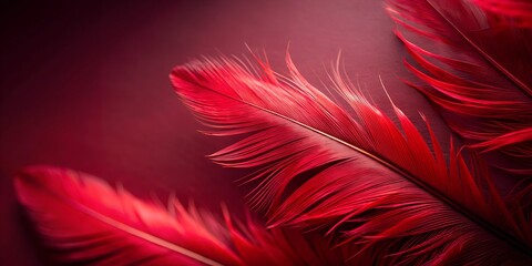 Obraz premium red and white feathers