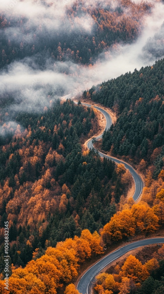 Poster a winding road with trees in the background