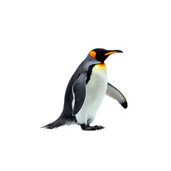 Obraz premium penguin ,isolated on white background , transparent png image