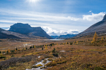 Photos of golden larches on Skoki Loop hike around Skoki Lodge. Includes views of the trail, mountains and lakes around the trail. Skoki Lodge is near Lake Louise, Alberta, Canada.