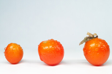 みずみずしいミニトマト