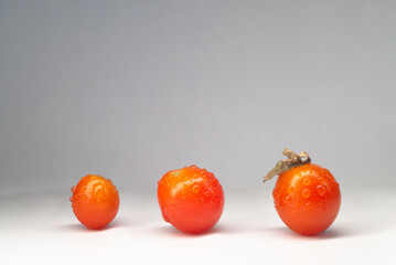 みずみずしいミニトマト2