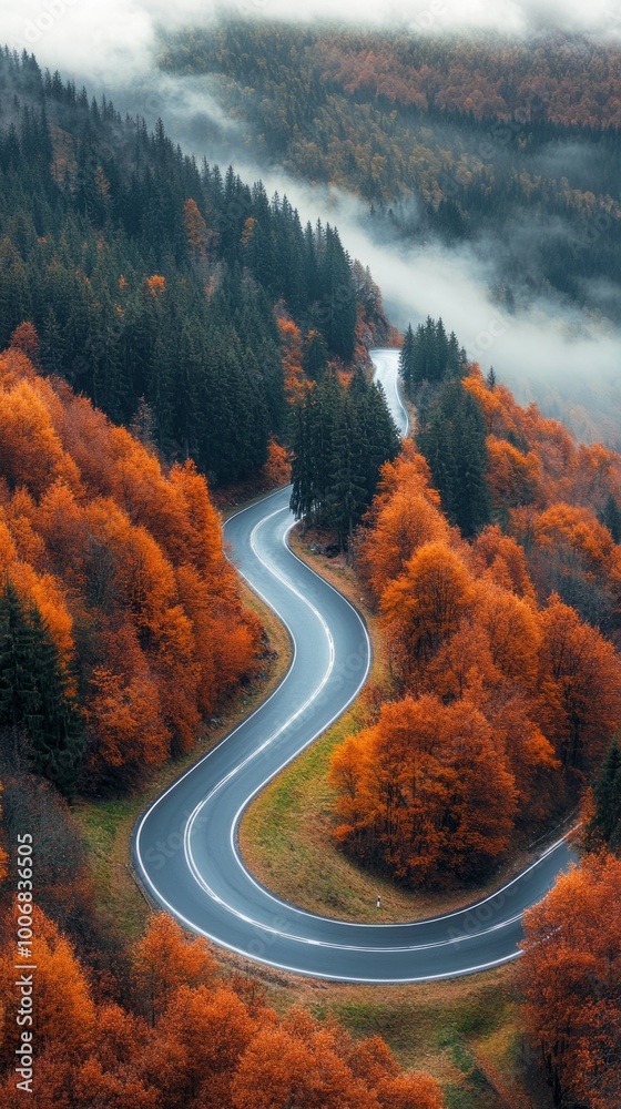 Poster a winding road with trees in the background