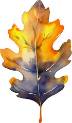 Naklejka premium Watercolor Beautiful Autumn Leaf Illustration On Transparent Background