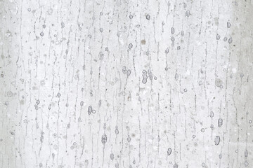 Dirty grungy old white wall with mottled pattern. Grey abstract texture as a dried liquid drip...