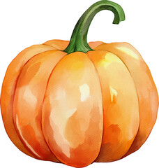 Watercolor Mature Large Pumkin Harvest Illustration On transparent Background