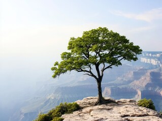 Obraz premium Solitary Tree Against the Canyon Majestic Resilience in Nature's Embrace Tranquil Landscape Photography