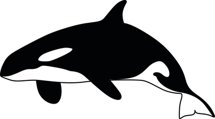 Whale Cricut and Silhouette SVG file 