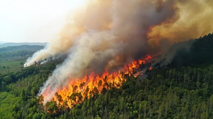 Fototapeta premium Forest fire sweeping through a national park, threatening wildlife and habitats wildfire, natural habitat destruction