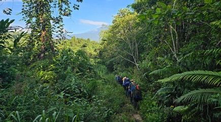 Trekking in the foothills of Mount Kinabalu