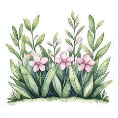 Colorful watercolor flowers and leaves, white isolated background