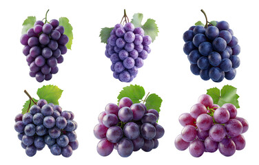 Bunches of ripe purple grapes isolated on transparent background