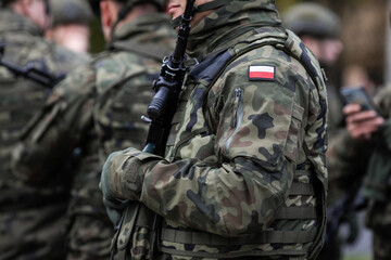 Details of a Polish soldier in uniform during the Romanian National Day military parade.