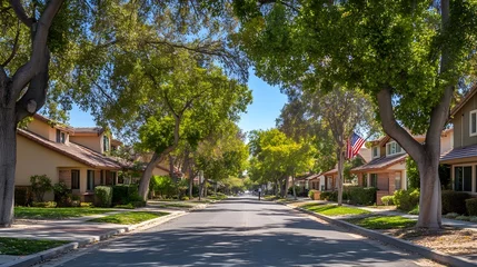 Street scene with houses displaying American flags, shaded by leafy trees, patriotic unity