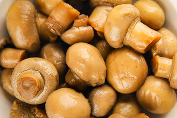 Champignon mushroom canned product tasty food dish fresh delicious gourmet food background on the table rustic food top view copy space top view keto and paleo diet Vegetarian and vegan food