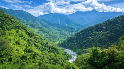 A lush green mountain range with dense forests